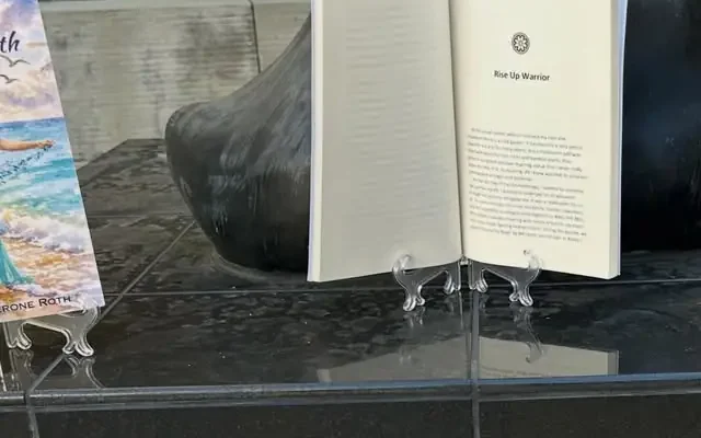 The book open to "Rise Up Warrior" at the base of the Warrior statue in the cancer center rock garden.